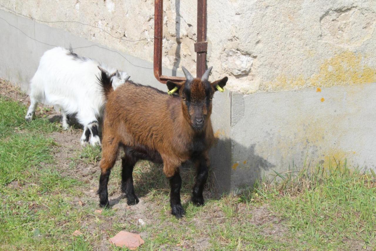 Ferme Des Poulardieres Villa Crouy-sur-Cosson Eksteriør billede