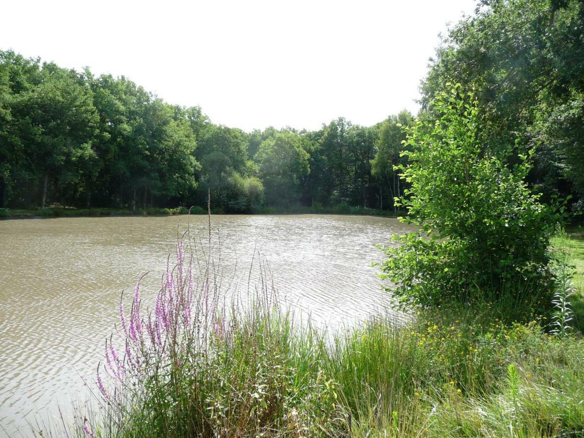 Ferme Des Poulardieres Villa Crouy-sur-Cosson Eksteriør billede